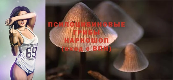 дурь Новокубанск