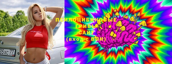 дурь Новокубанск
