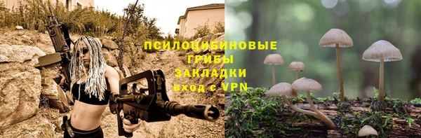 дурь Новокубанск