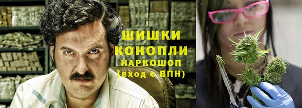 амф Богородицк