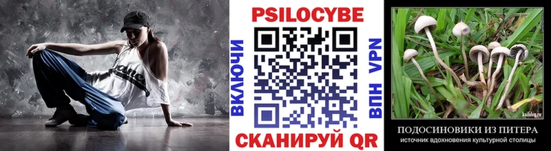 как найти закладки  Троицк  Псилоцибиновые грибы прущие грибы 